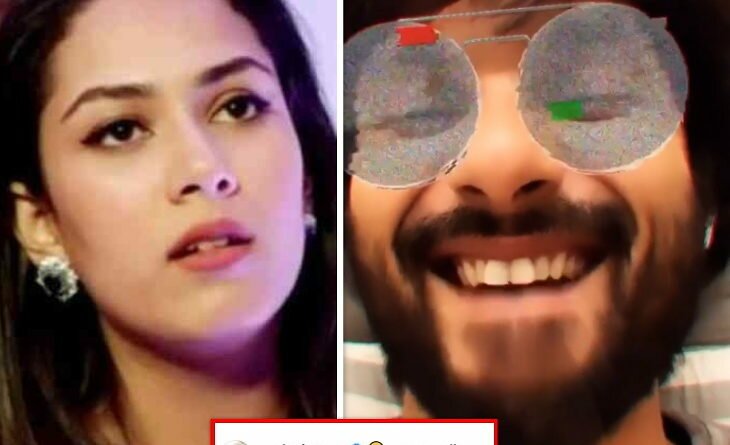 Shahid Kapoor look excited for Quarantine Face 4, wife mira rajput drop ridiculous comment on video