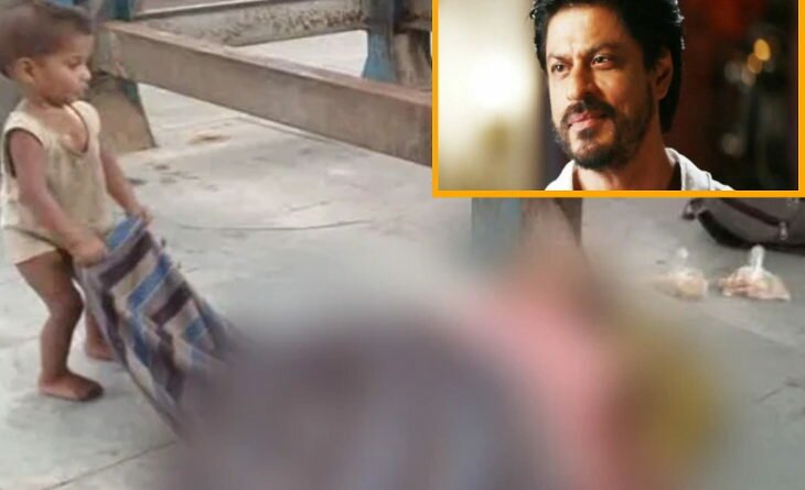 Shah Rukh Khan’s Meer Foundation to provide aid to child who tried to wake up dead mother at train station